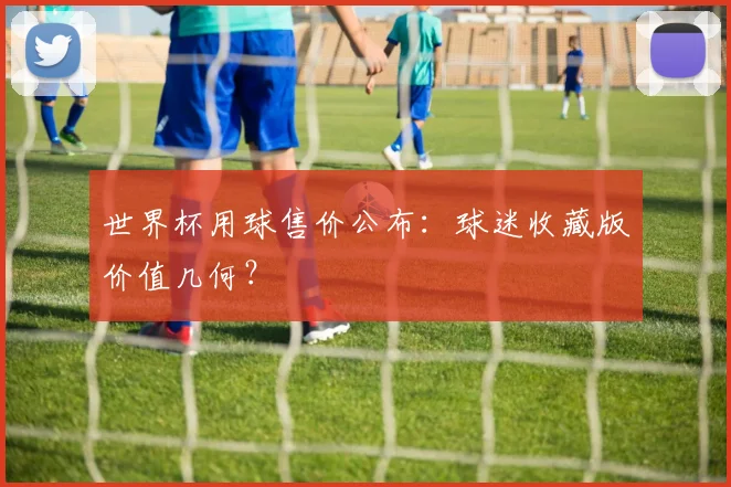 世界杯用球售价公布：球迷收藏版价值几何？