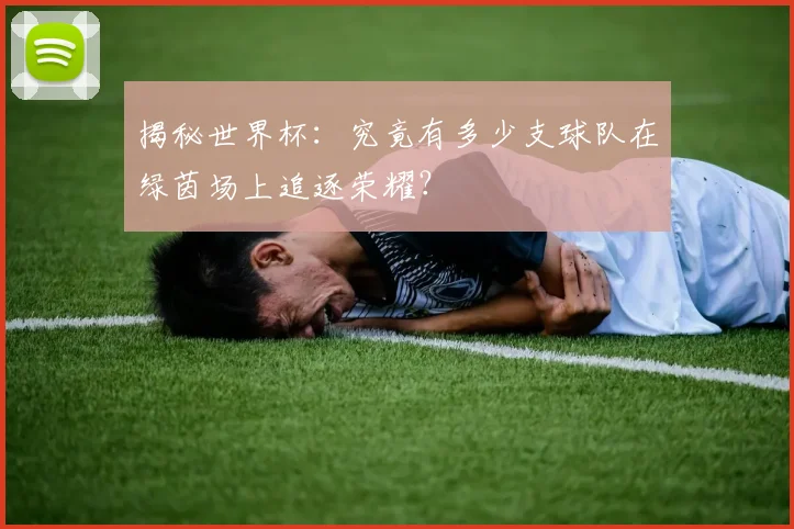 揭秘世界杯：究竟有多少支球队在绿茵场上追逐荣耀？