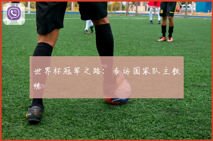 世界杯冠军之路：专访国家队主教练
