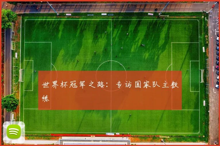 世界杯冠军之路：专访国家队主教练