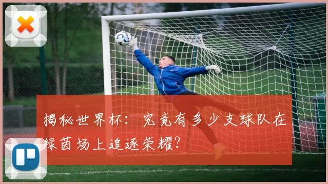 揭秘世界杯:究竟有多少支球队在绿茵场上追逐荣耀?