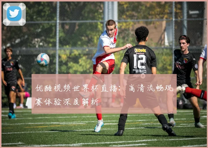 优酷视频世界杯直播：高清流畅观赛体验深度解析